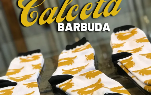 Calceta Diseño Barba